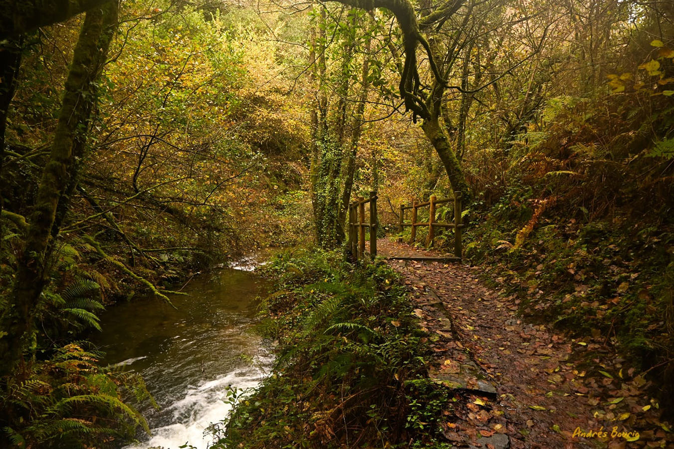 Estevo do ermo camino junto al río. Sendas que no te dejarán indiferente.