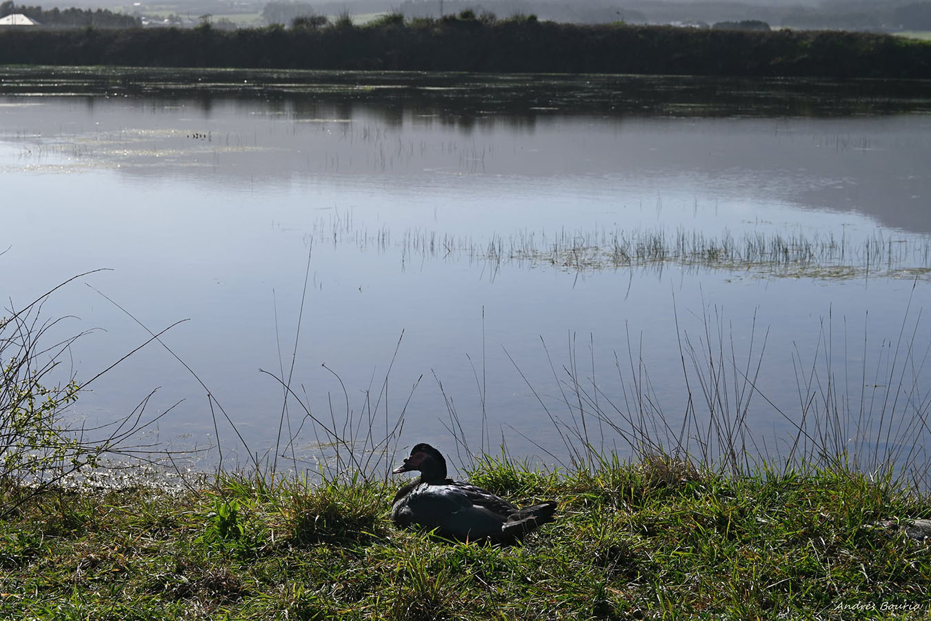Además esta ruta tiene unas espectaculares vistas, incluyendo el humedal, al que van muchos aficionados a la ornitología por la gran diversidad de aves que pueden contemplarse incluso a simple vista desde el paseo.