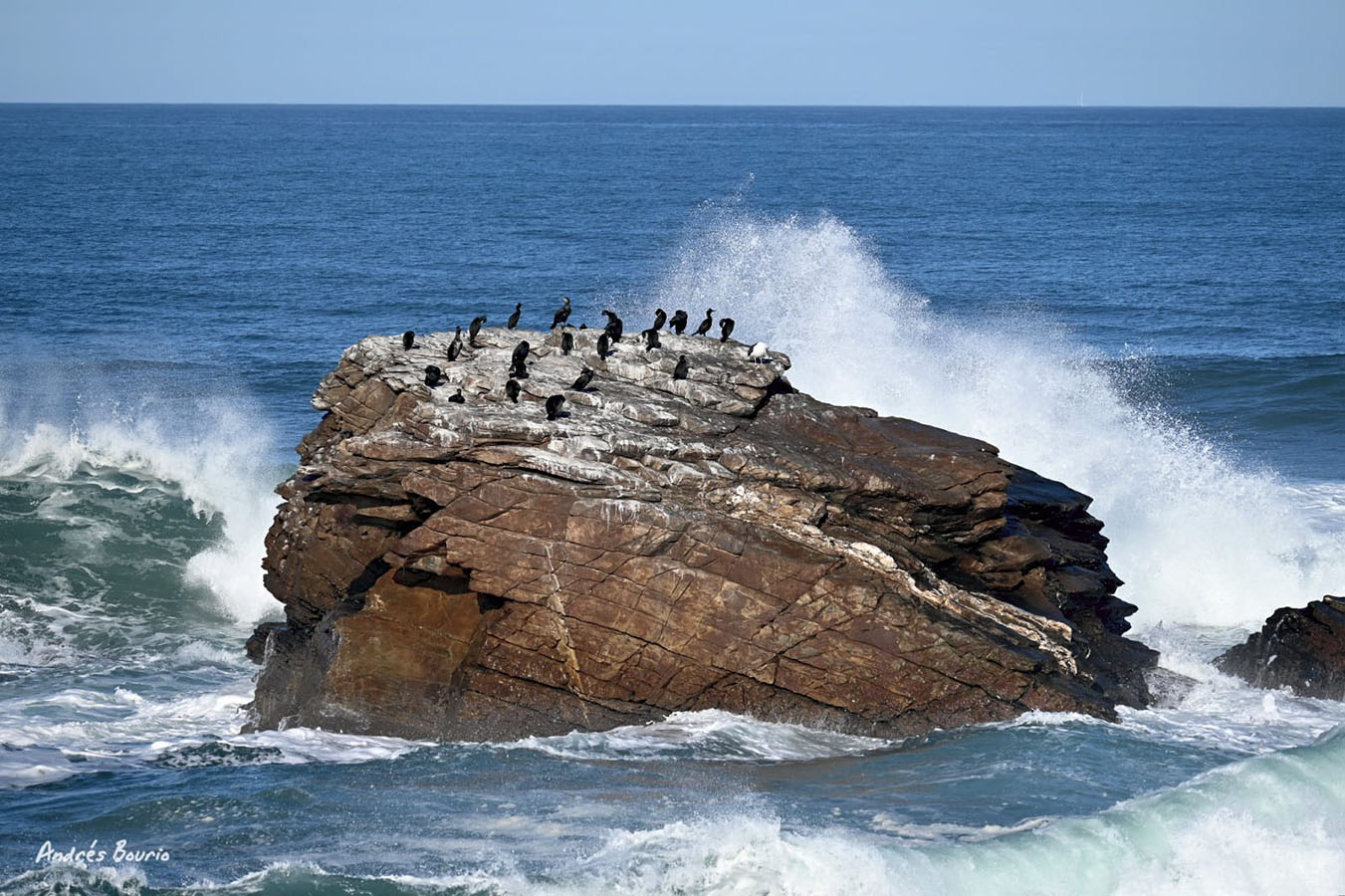 La pena dos corvos esta junto a la cetárea más grande. Pueden observarse prácticamente siempre aves en su cima.